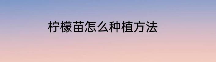 柠檬苗怎么种植方法