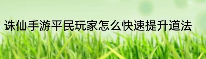 诛仙手游平民玩家怎么快速提升道法