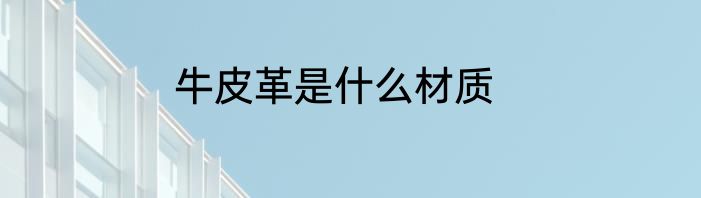 牛皮革是什么材质