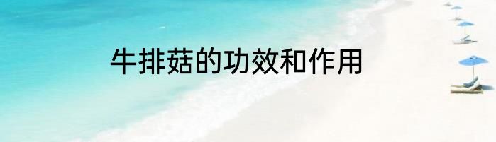 牛排菇的功效和作用