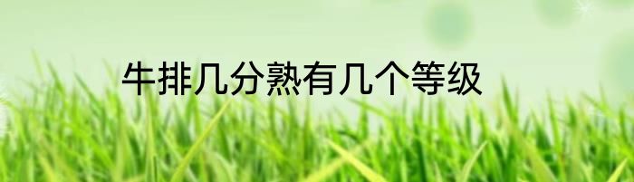 牛排几分熟有几个等级