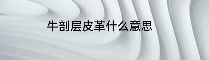 牛剖层皮革什么意思