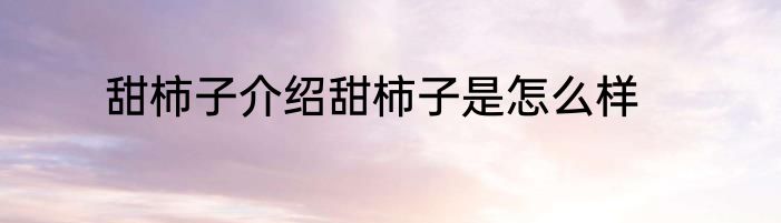 甜柿子介绍甜柿子是怎么样