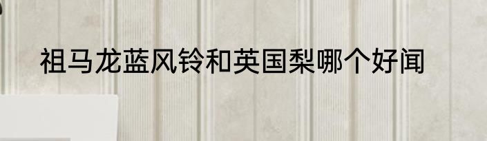 祖马龙蓝风铃和英国梨哪个好闻