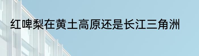 红啤梨在黄土高原还是长江三角洲