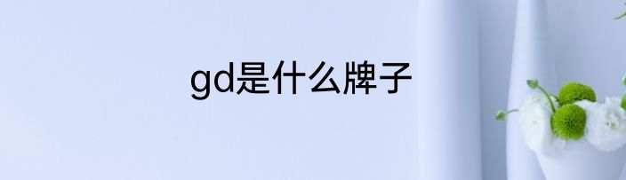 gd是什么牌子
