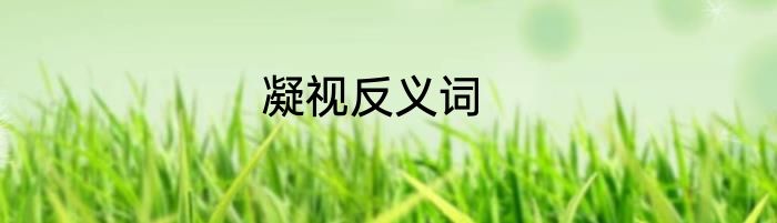 凝视反义词