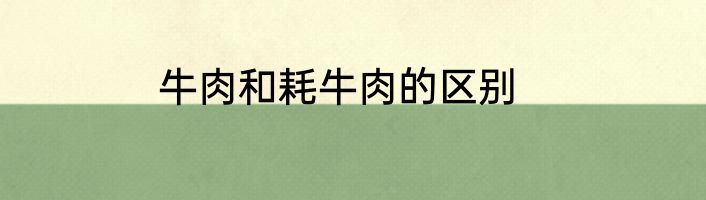 牛肉和耗牛肉的区别