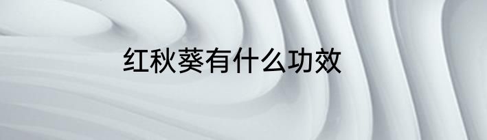红秋葵有什么功效