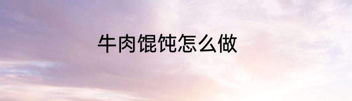牛肉馄饨怎么做