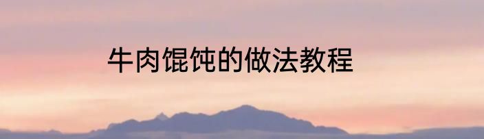 牛肉馄饨的做法教程