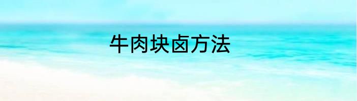 牛肉块卤方法