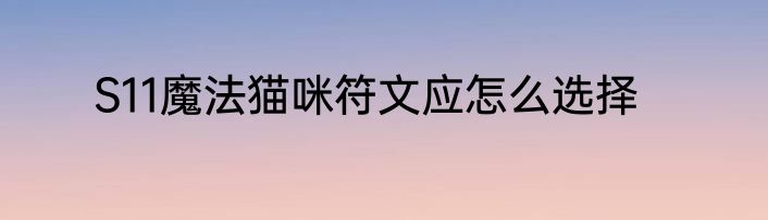 S11魔法猫咪符文应怎么选择