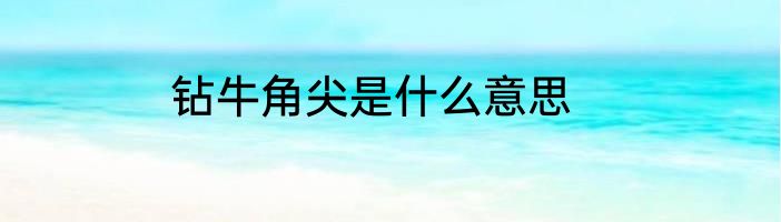 钻牛角尖是什么意思