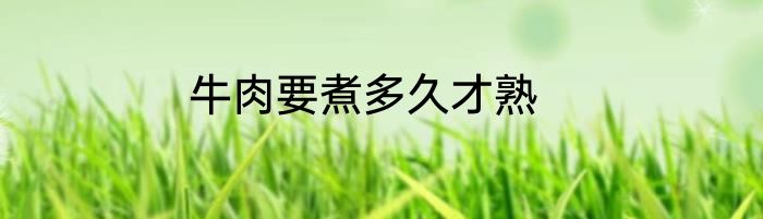 牛肉要煮多久才熟