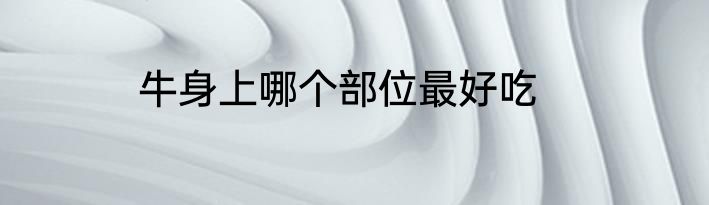 牛身上哪个部位最好吃