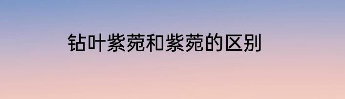 钻叶紫菀和紫菀的区别