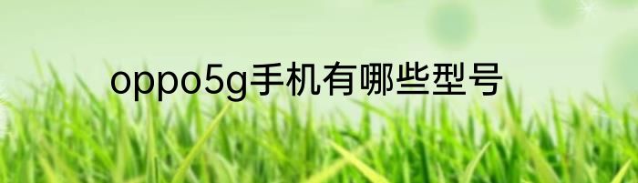 oppo5g手机有哪些型号