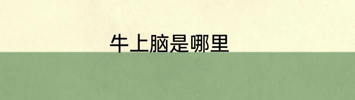 牛上脑是哪里
