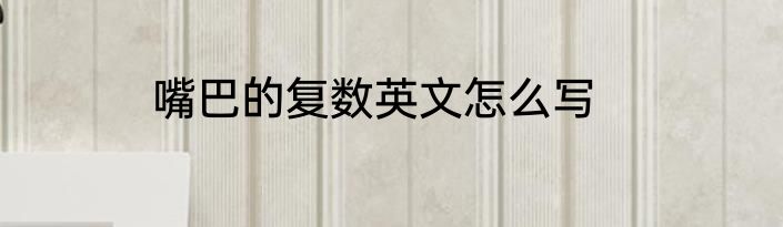 嘴巴的复数英文怎么写
