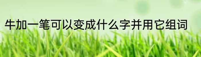 牛加一笔可以变成什么字并用它组词