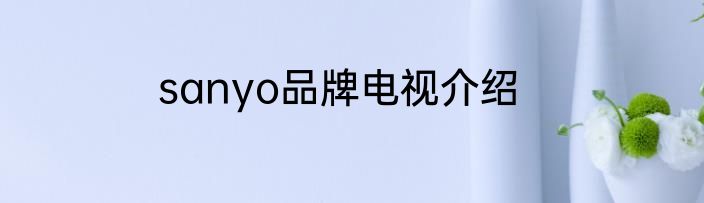 sanyo品牌电视介绍