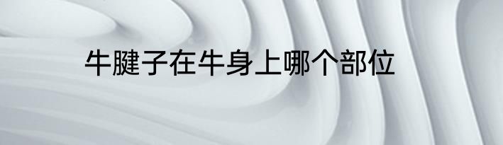 牛腱子在牛身上哪个部位