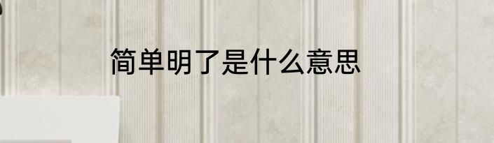 简单明了是什么意思