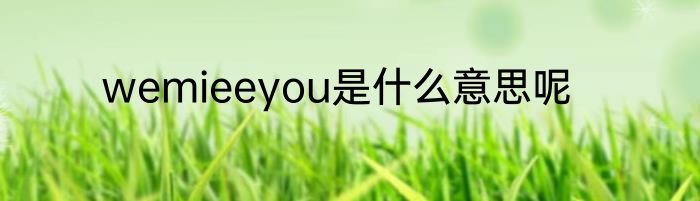 wemieeyou是什么意思呢