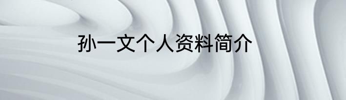 孙一文个人资料简介
