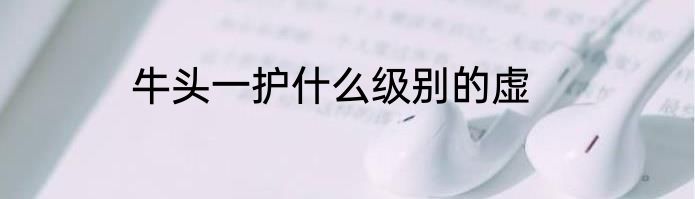 牛头一护什么级别的虚