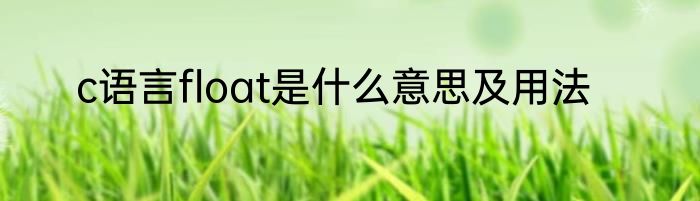 c语言float是什么意思及用法