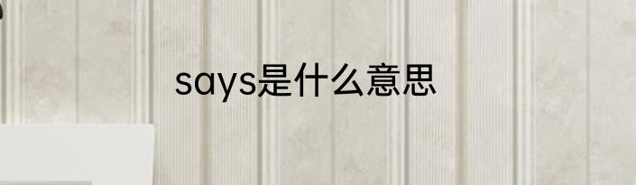 says是什么意思