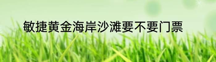 敏捷黄金海岸沙滩要不要门票