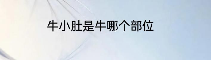 牛小肚是牛哪个部位