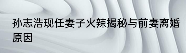 孙志浩现任妻子火辣揭秘与前妻离婚原因