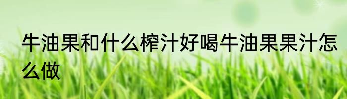 牛油果和什么榨汁好喝牛油果果汁怎么做