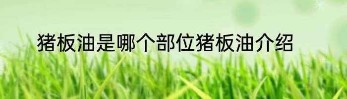 猪板油是哪个部位猪板油介绍