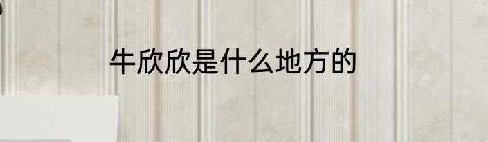 牛欣欣是什么地方的
