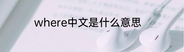 where中文是什么意思