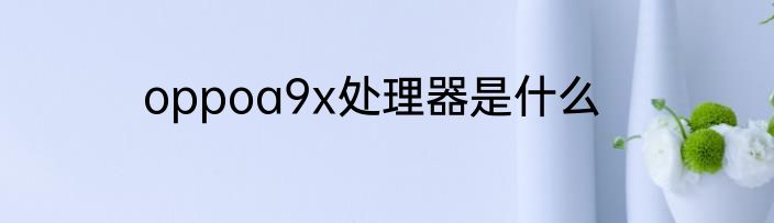 oppoa9x处理器是什么