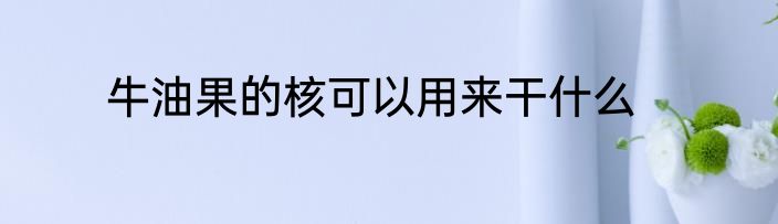 牛油果的核可以用来干什么