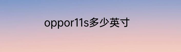 oppor11s多少英寸