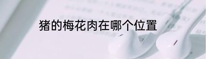 猪的梅花肉在哪个位置