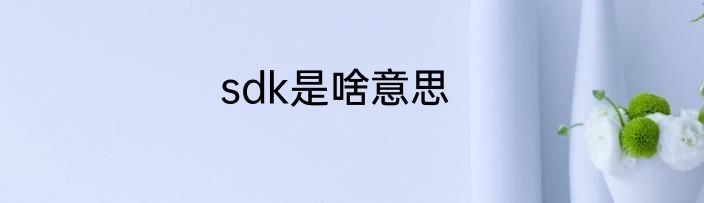 sdk是啥意思