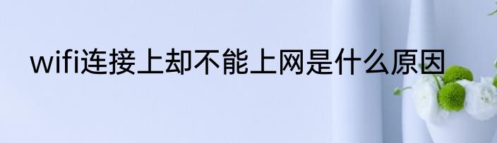 wifi连接上却不能上网是什么原因