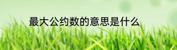 最大公约数的意思是什么