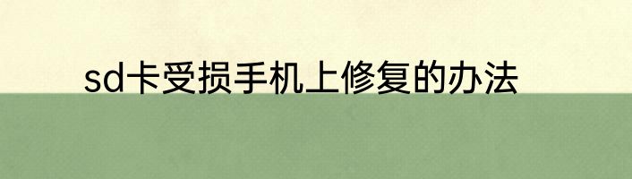 sd卡受损手机上修复的办法