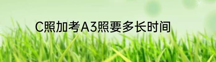 C照加考A3照要多长时间