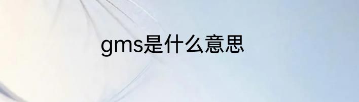 gms是什么意思